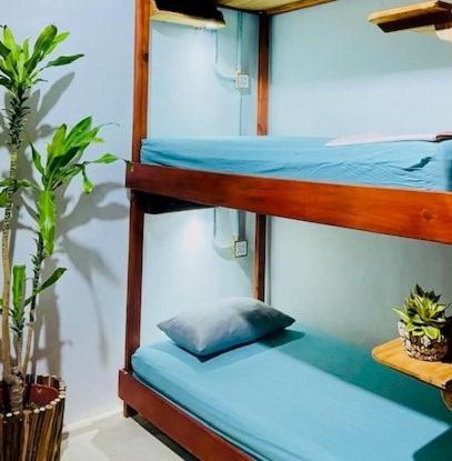 Hostal Holbox Kültér fotó